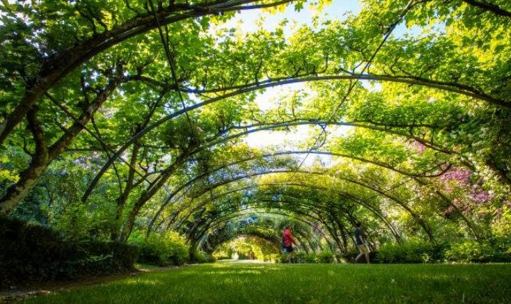 Jardin Botanique Floralpina, Arras, France